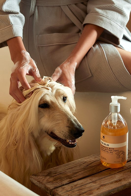 Amo Petric Shea Butter Long Haired Dog Shampoo