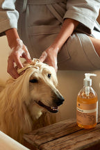 Amo Petric Shea Butter Long Haired Dog Shampoo
