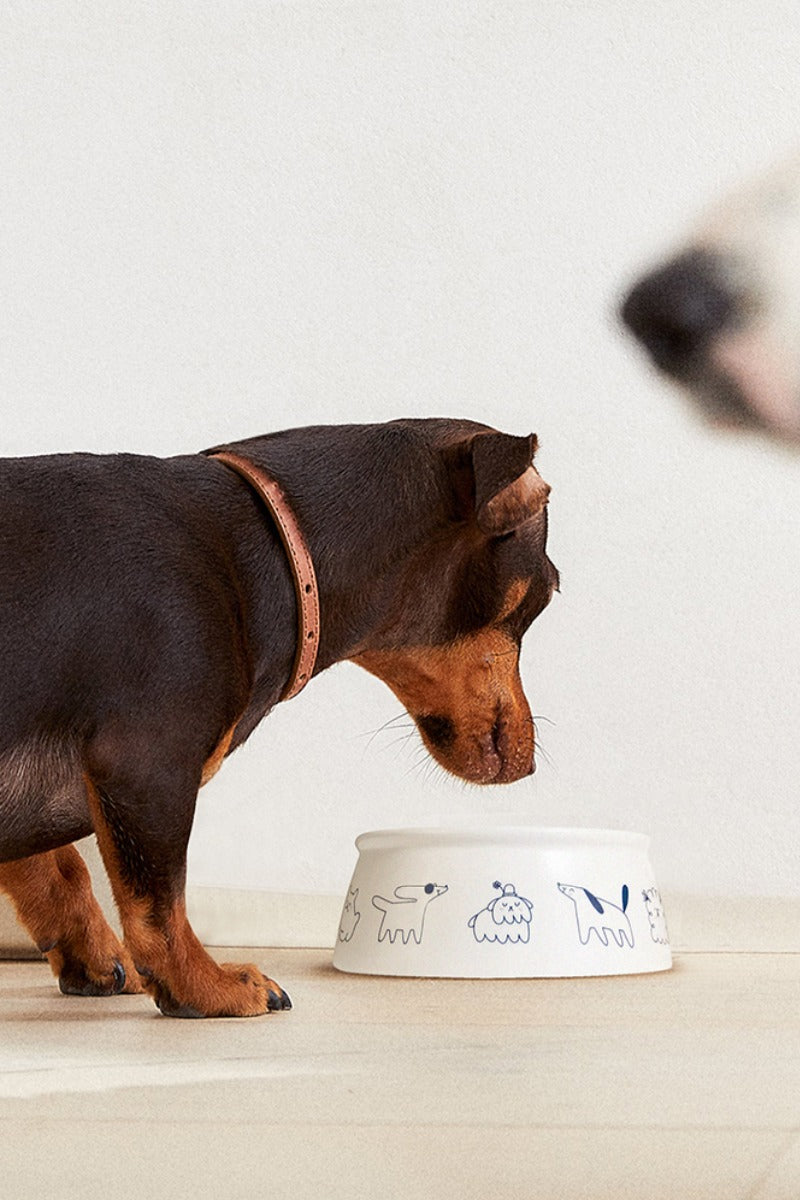 AmoPetric Smiling Ceramic Pet Bowl for Dogs & Cats