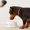 AmoPetric Lächelnder Keramik-Futternapf für Hunde und Katzen