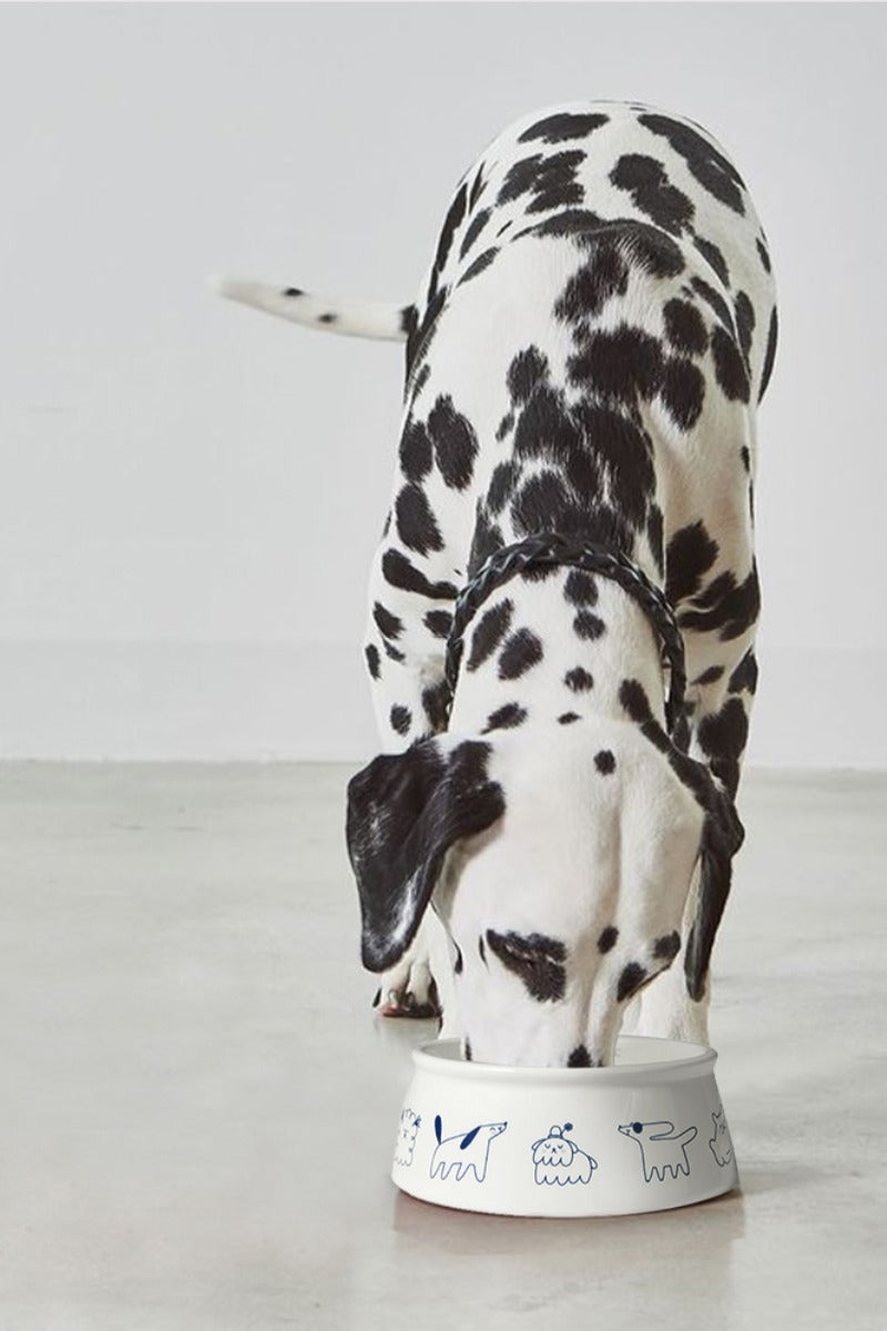 AmoPetric Smiling Ceramic Pet Bowl for Dogs & Cats