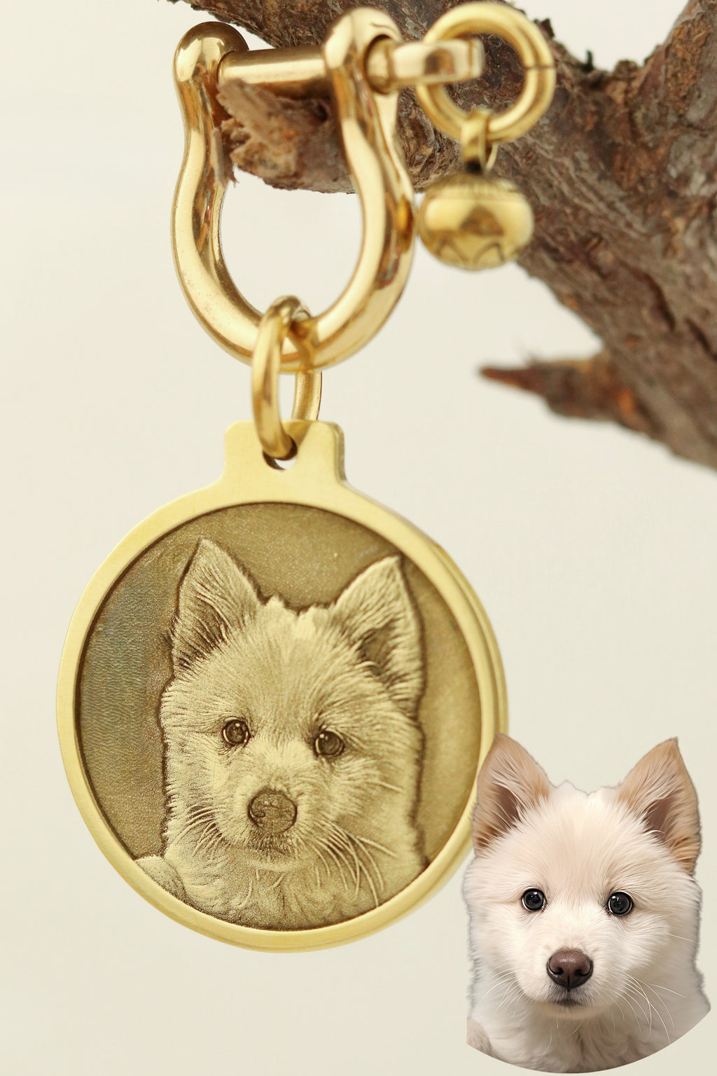 Custom Deep Engraved Brass Pet ID Tag for Dogs & Cats