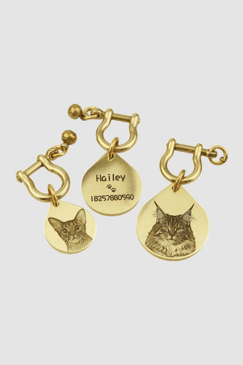 Gold dog collar with engraved tags featuring a cat's face and text on a light gray background