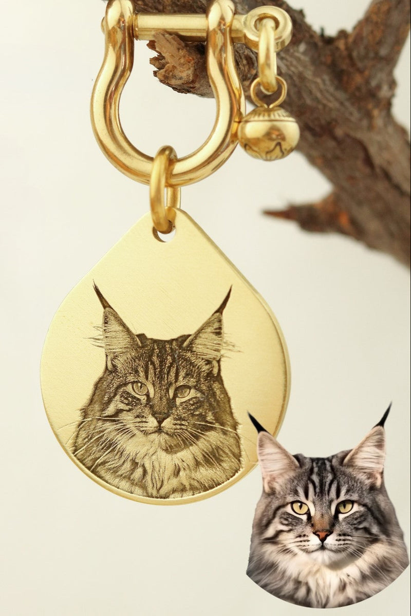 Custom Engraved Teardrop Brass Pet Tag – Polished Finish for Dogs & Cats