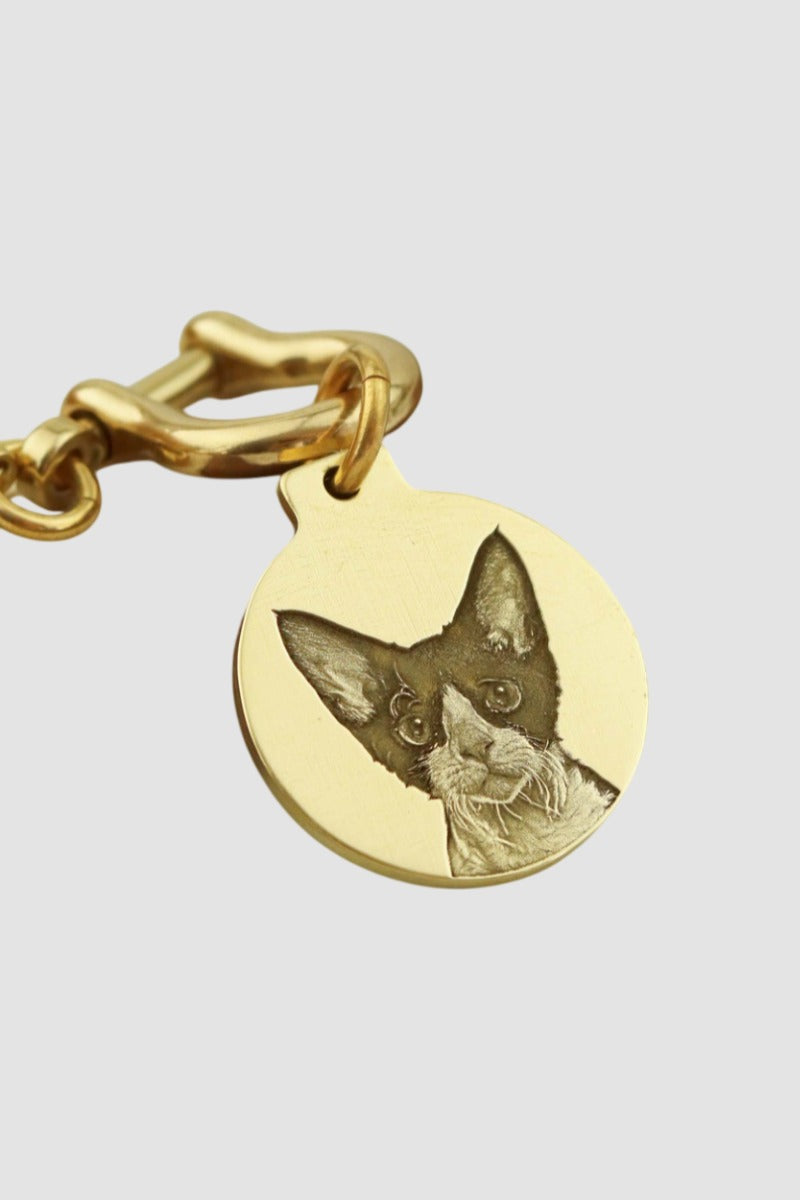 Custom Engraved Brass Pet Tag – Polished Finish for Dogs & Cats