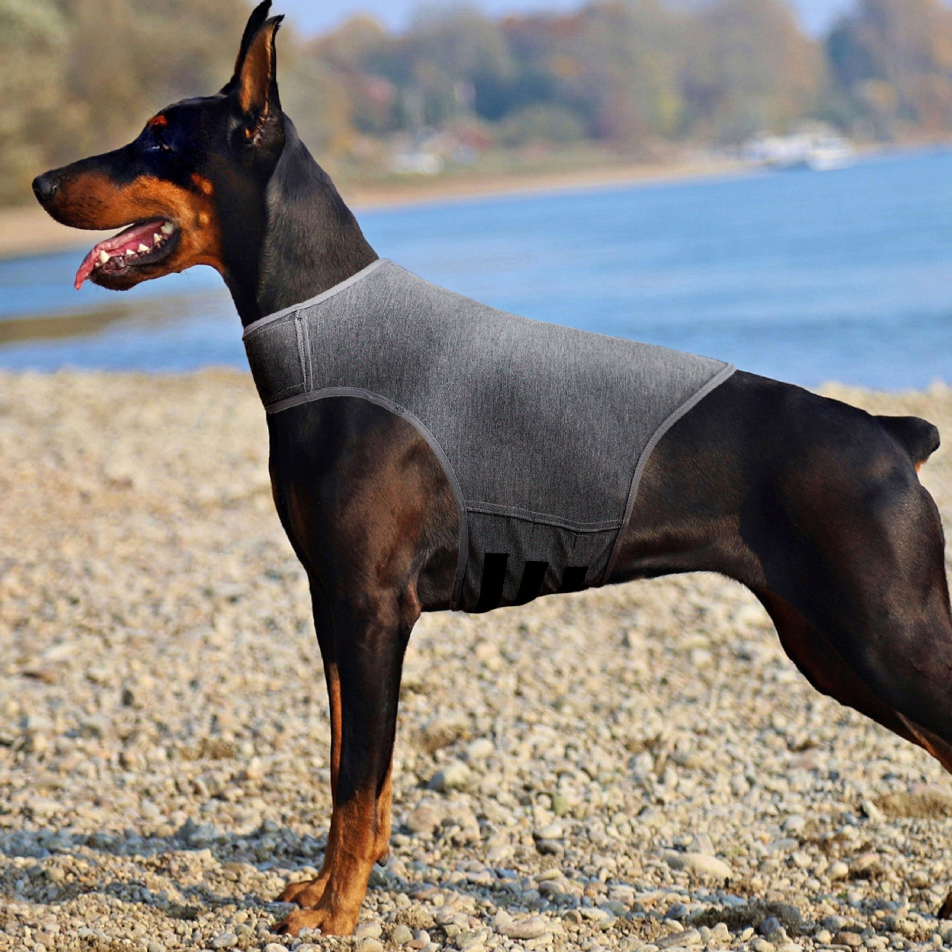 Dog Anxiety Relief Calming Vest - Gray