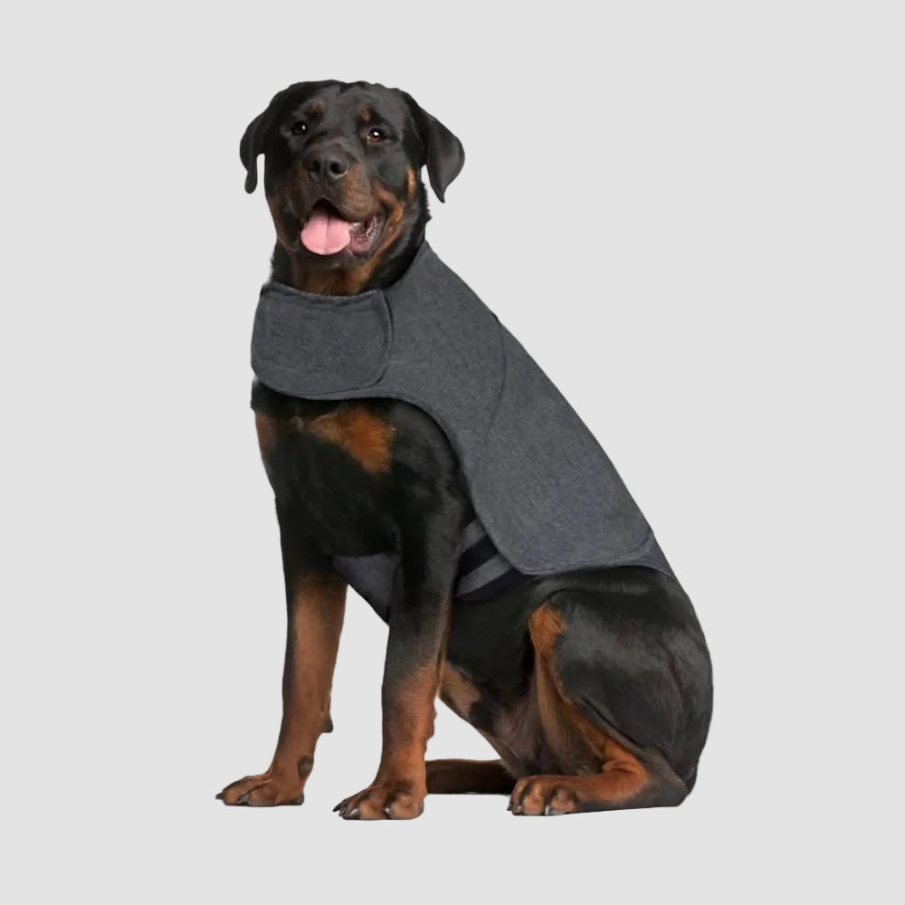 Dog Anxiety Relief Calming Vest - Gray