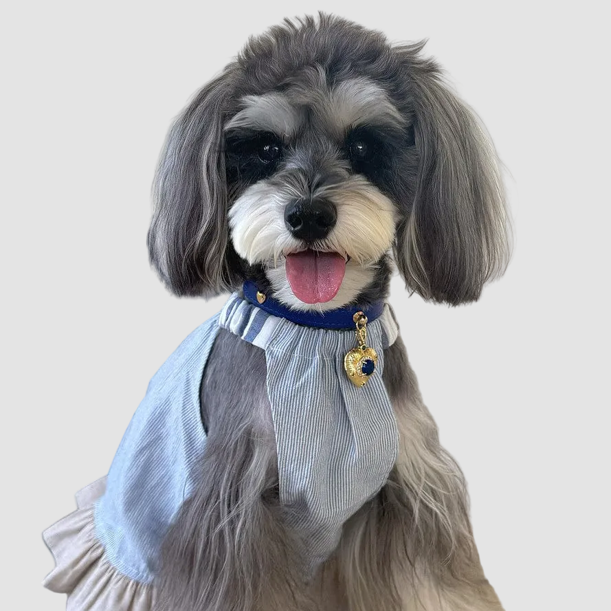 Pettrove Handmade Rhinestone Dog & Cat Leather Collar Blue Crystal Pendant