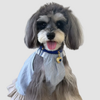 Pettrove Handmade Rhinestone Dog & Cat Leather Collar Blue Crystal Pendant