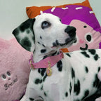 Pettrove Handmade Rhinestone Dog & Cat Leather Collar Pink Zircon Pendant