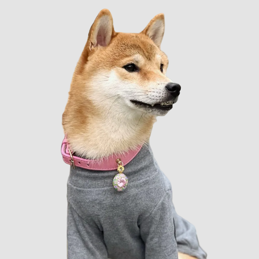 Pettrove Handmade Rhinestone Dog & Cat Leather Collar Pink Zircon Pendant