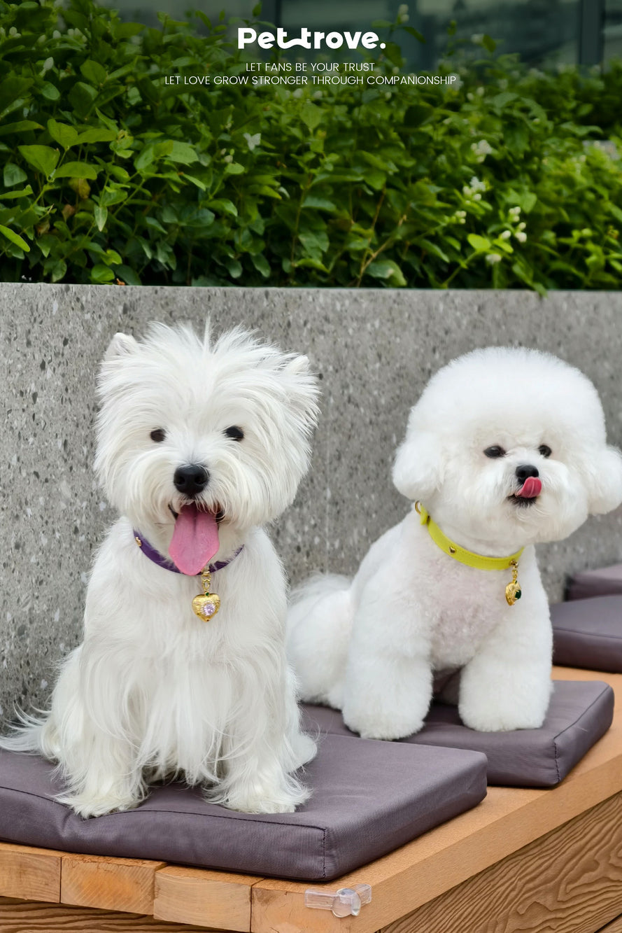 Pettrove Handmade Rhinestone Dog & Cat Leather Collar Purple Crystal Pendant