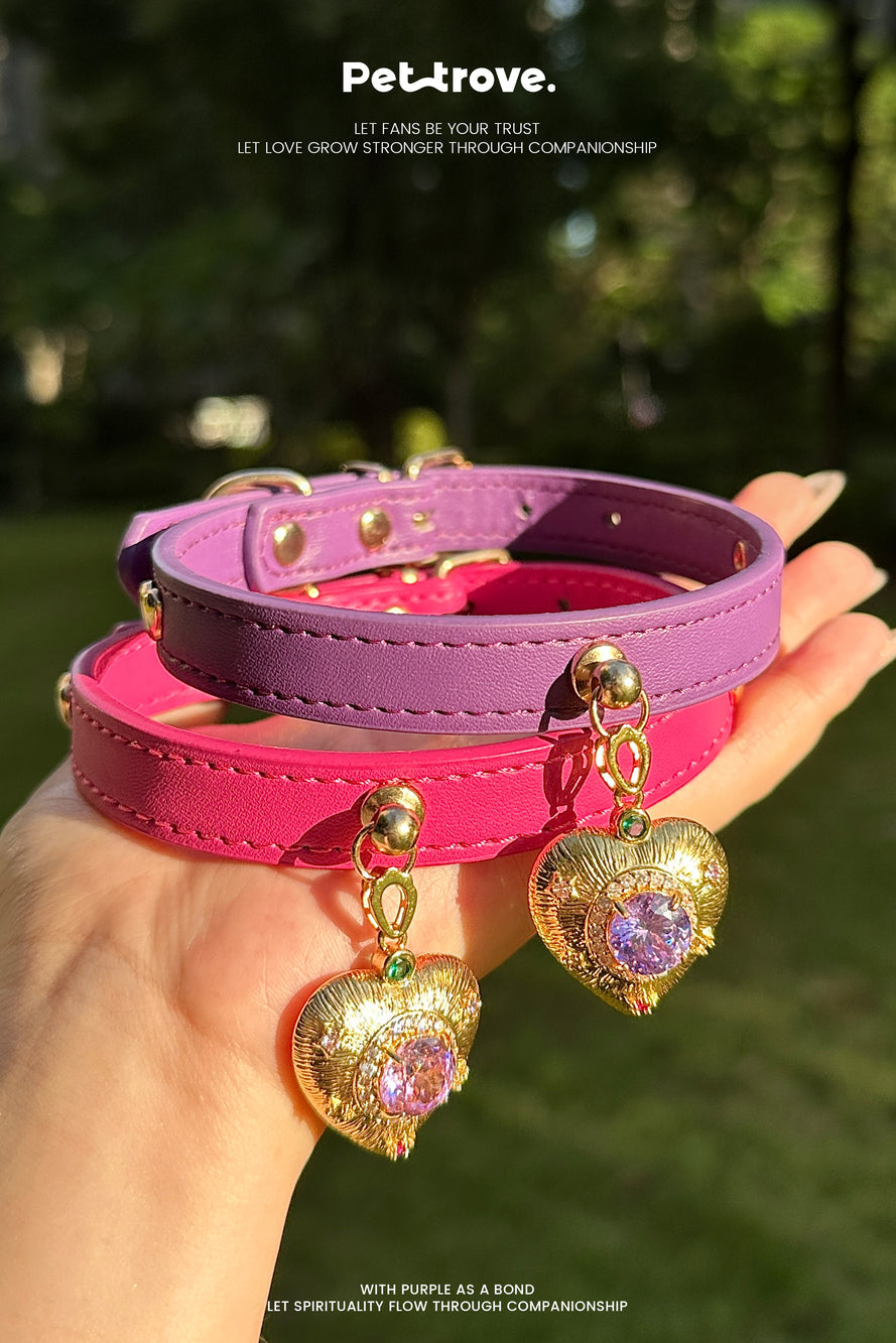 Pink and purple dog collars with heart-shaped charms held by a hand against a blurred green background.