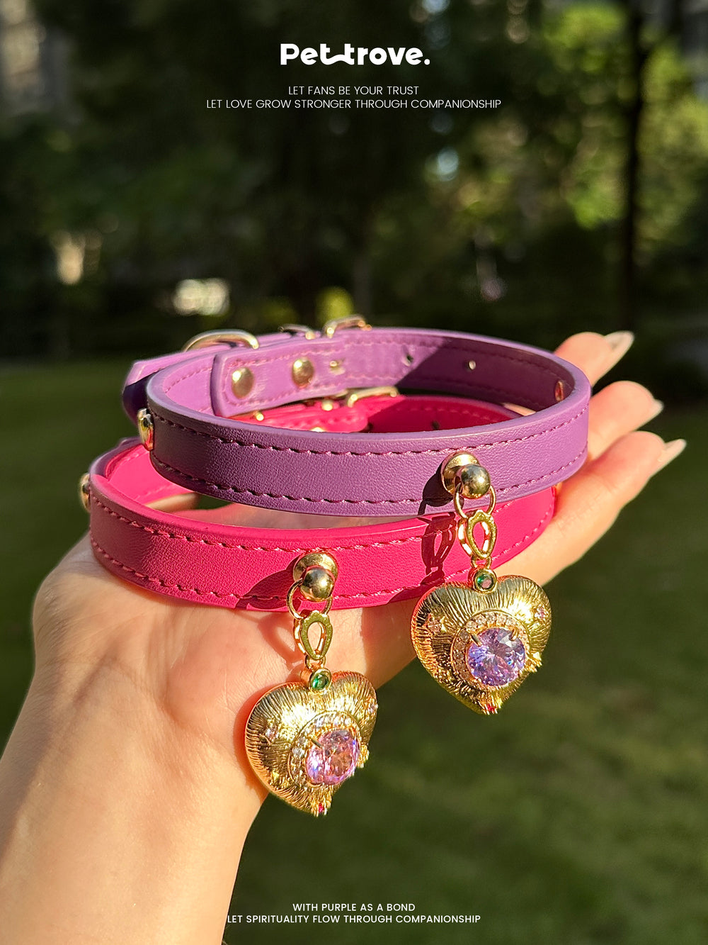 Pink and purple dog collars with heart-shaped charms held by a hand against a blurred green background.
