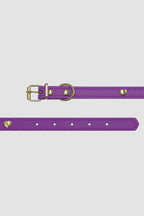 Pettrove Handmade Rhinestone Dog & Cat Leather Collar Purple Crystal