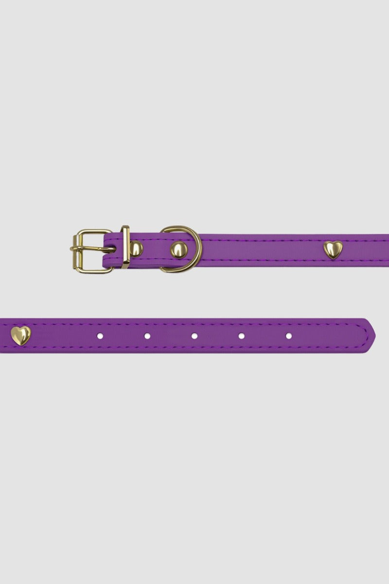 Pettrove Handmade Rhinestone Dog & Cat Leather Collar Purple Crystal