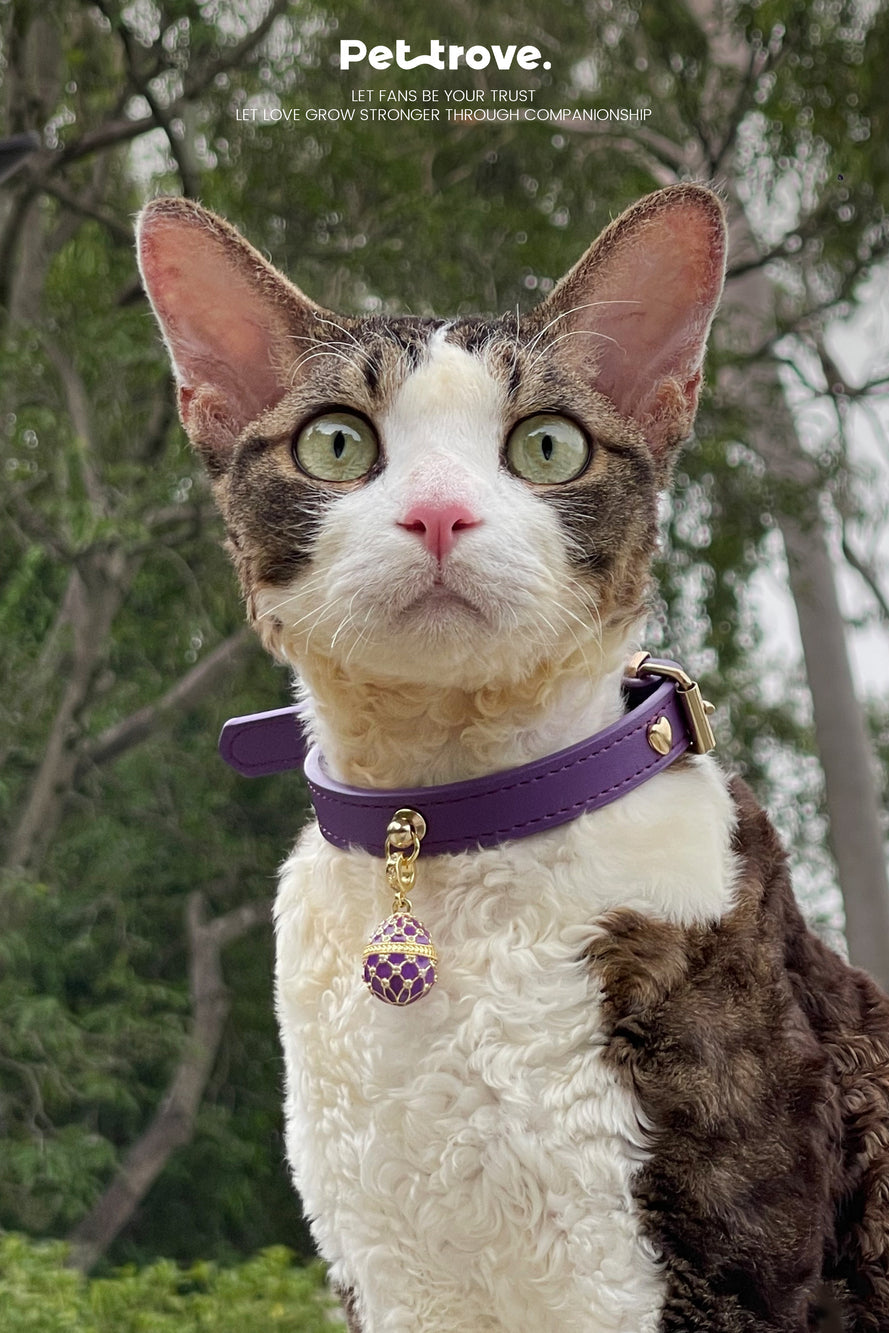 Pettrove Handmade Rhinestone Dog & Cat Leather Collar Purple Crystal Pendant