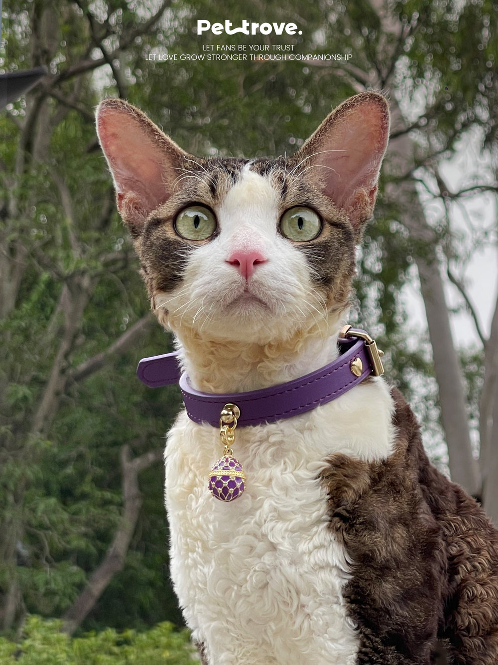 Pettrove Handmade Rhinestone Dog & Cat Leather Collar Purple Crystal