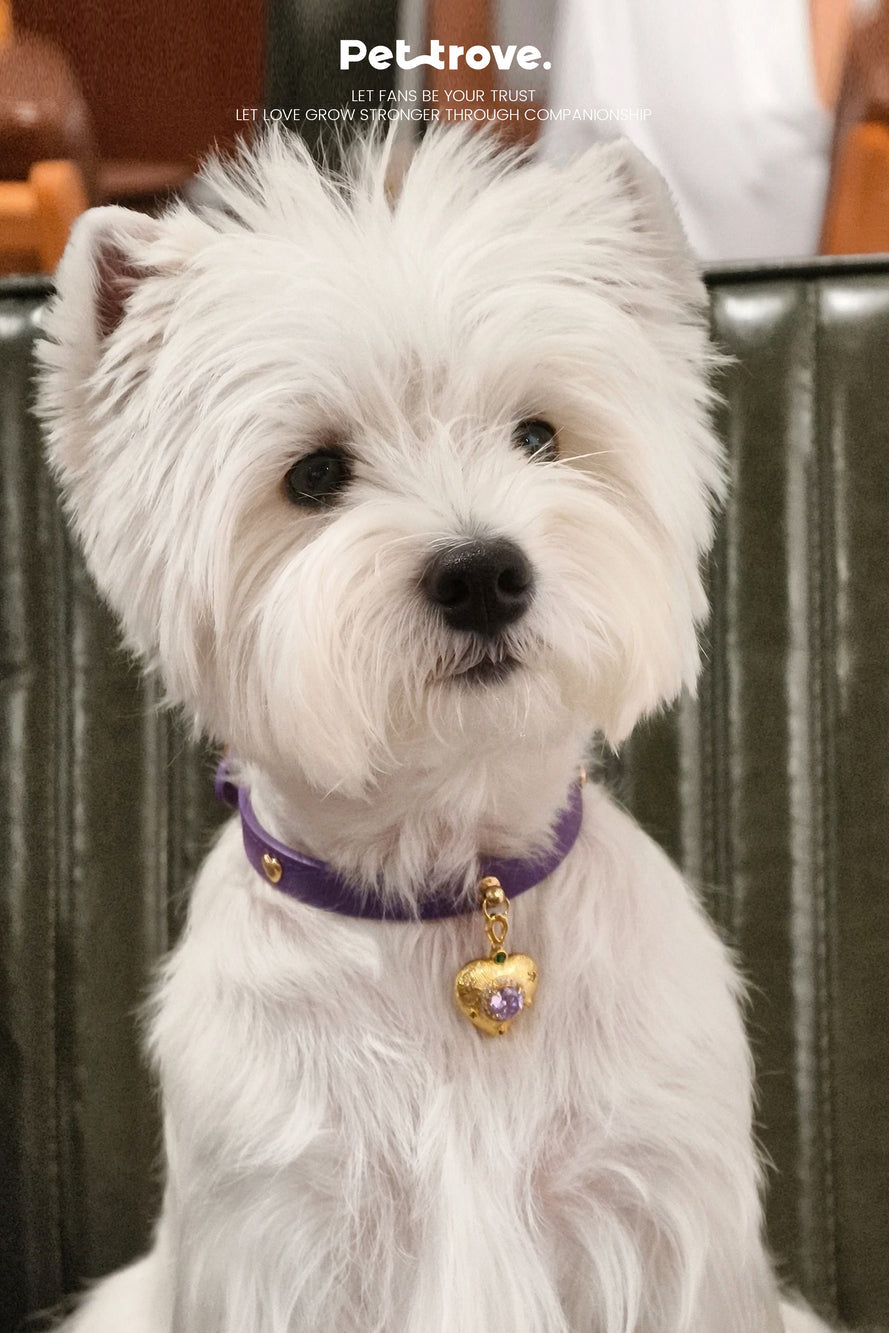 Pettrove Handmade Rhinestone Dog & Cat Leather Collar Purple Crystal Pendant