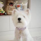 Pettrove Handmade Rhinestone Dog & Cat Leather Collar Purple Zircon Pendant