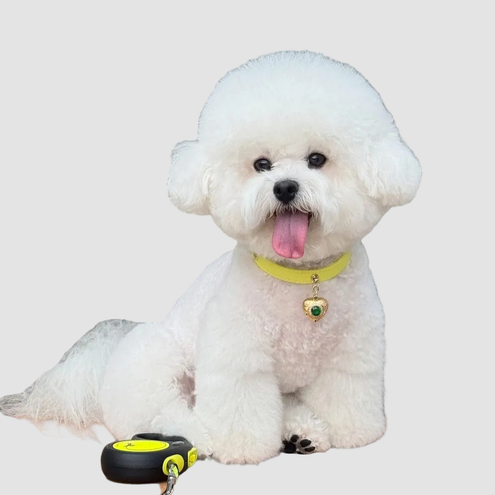 Pettrove Handmade Rhinestone Dog & Cat Leather Collar Yellow Crystal Pendant