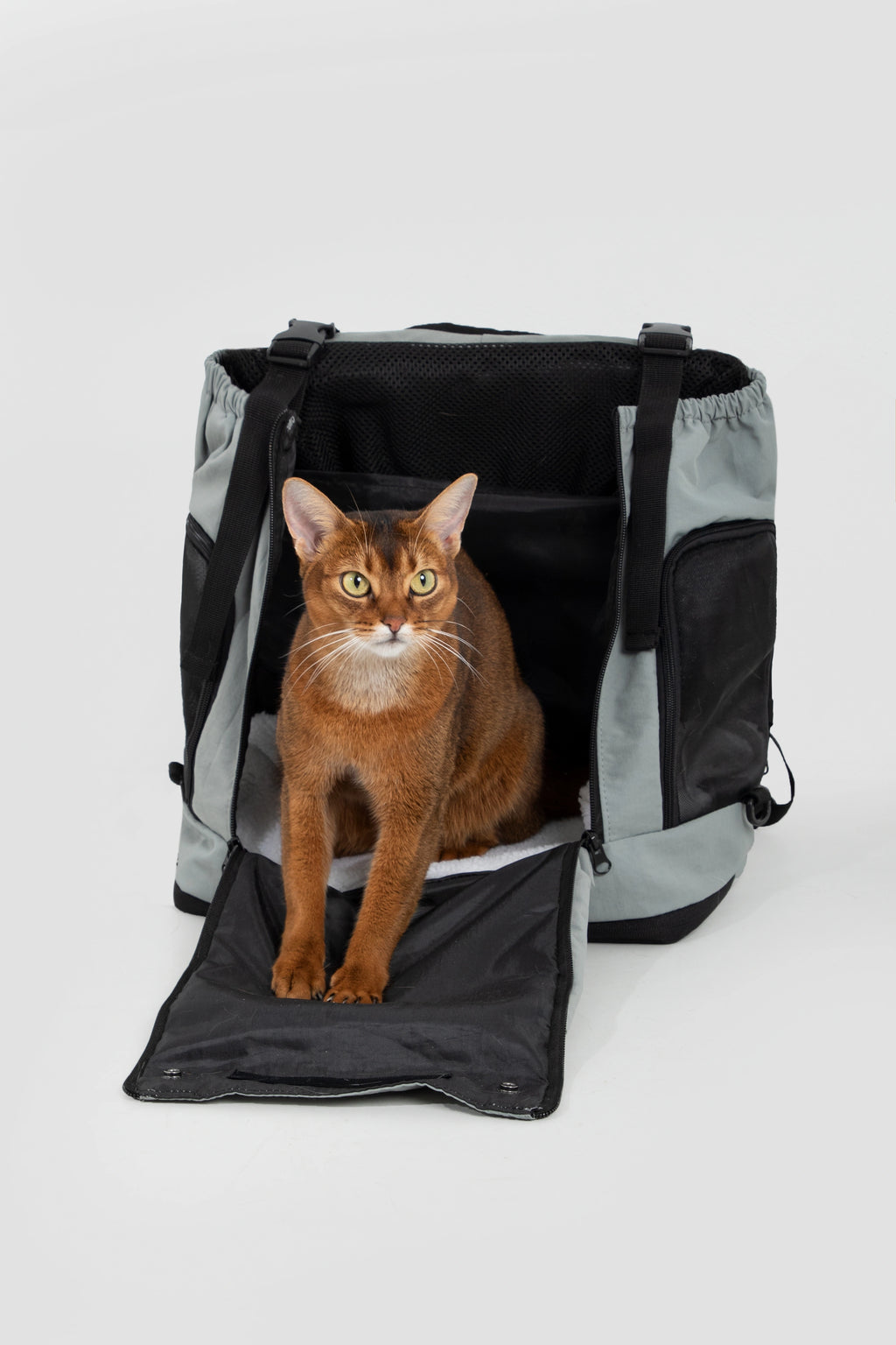 HiDREAM Mountain Front Pet Carrier Backpack For Dogs & Cats