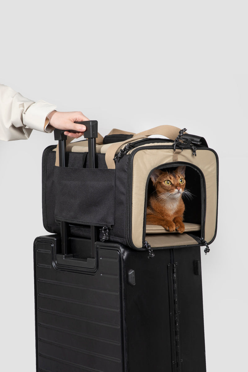 HiDREAM Borsa Trasportino per Animali Approvata dalla Compagnia Aerea per Cani e Gatti
