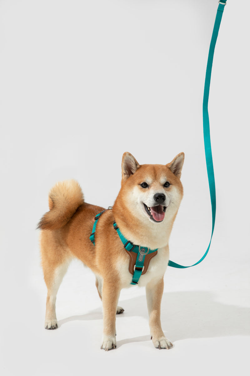 HiDREAM Arnés para Perro Ajustable Tipo H Bobo