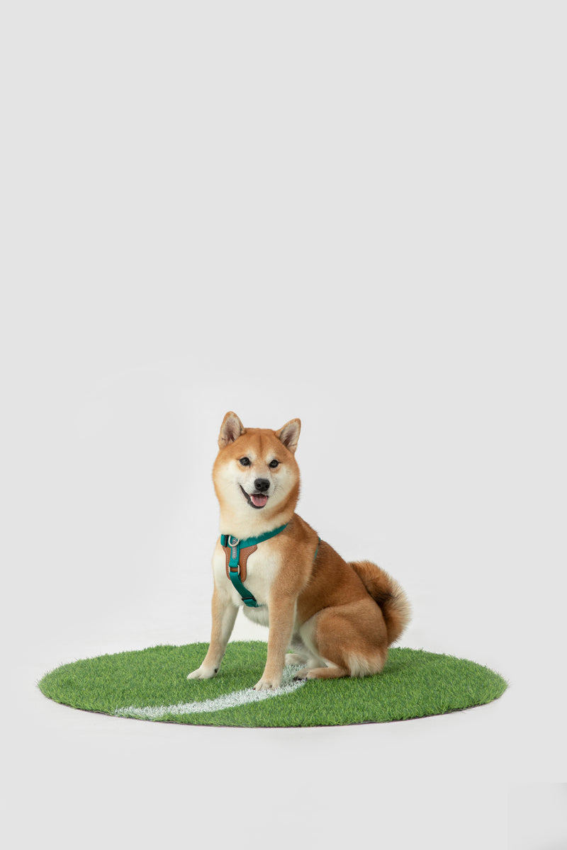 HiDREAM Arnés para Perro Ajustable Tipo H Bobo