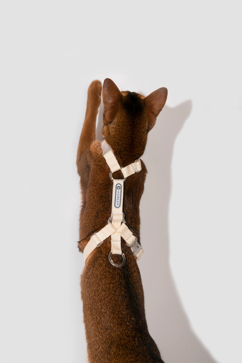 HiDREAM Bobo Harnais pour chat réglable en H avec laisse