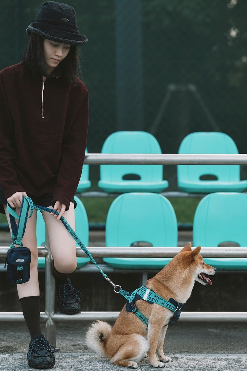 HiDREAM Bobo verstellbare stoßdämpfende Hundeleine