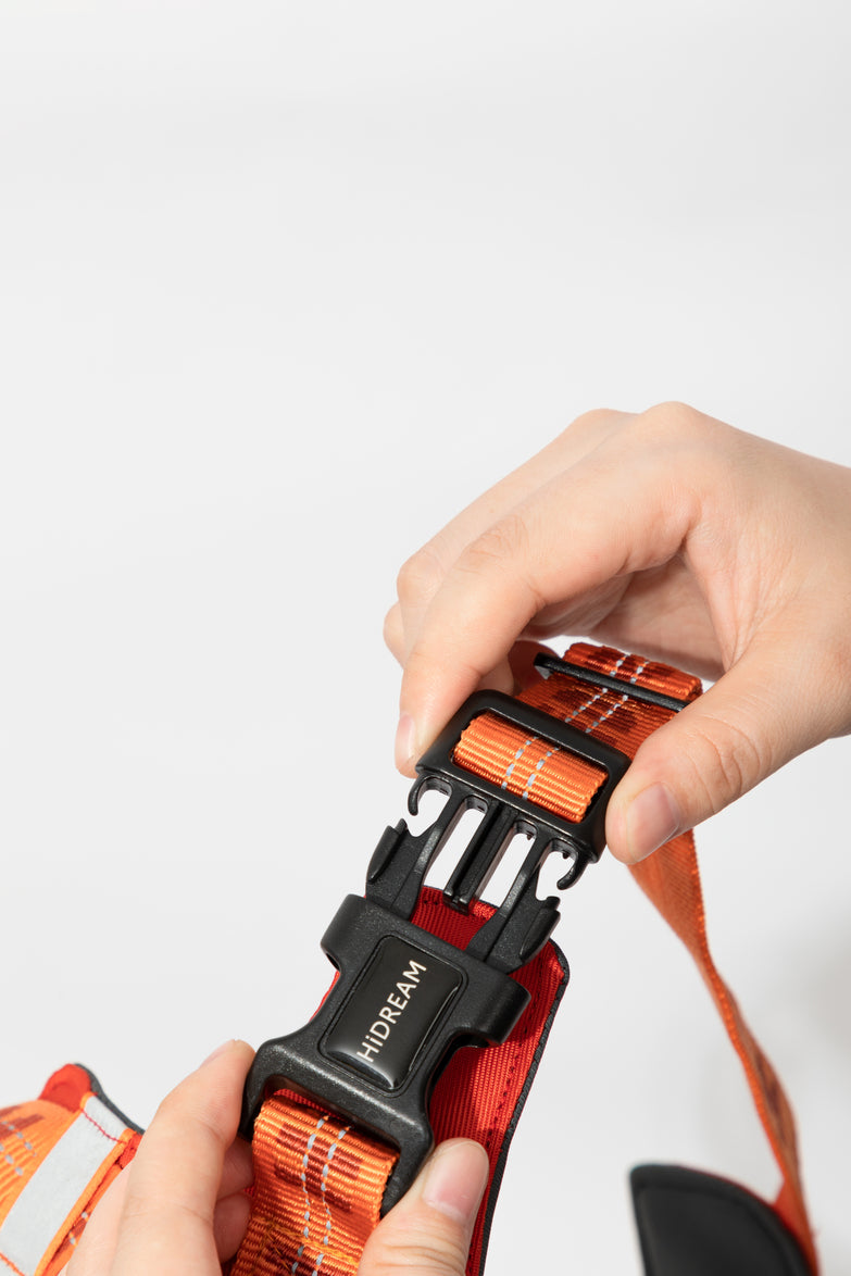 HiDREAM Bobo verstellbare stoßdämpfende Hundeleine