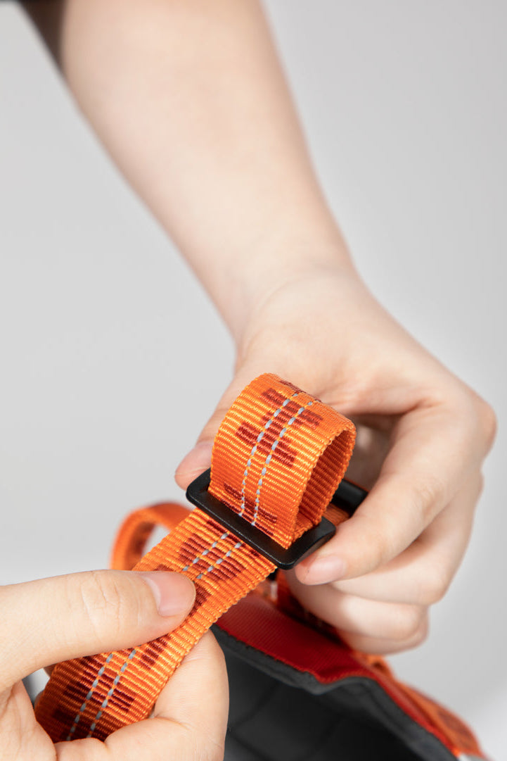 HiDREAM Bobo verstellbare stoßdämpfende Hundeleine