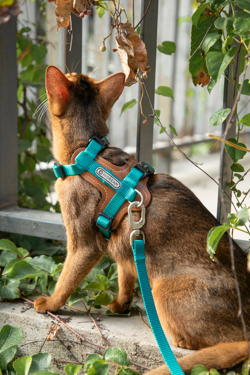 HiDREAM Bobo H-Style Cat Vest Harness & Leash Set