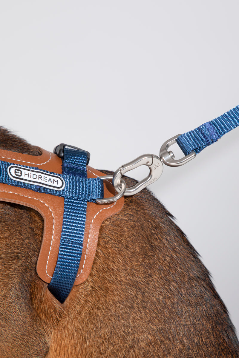 HiDREAM Bobo H-Style Cat Vest Harness & Leash Set