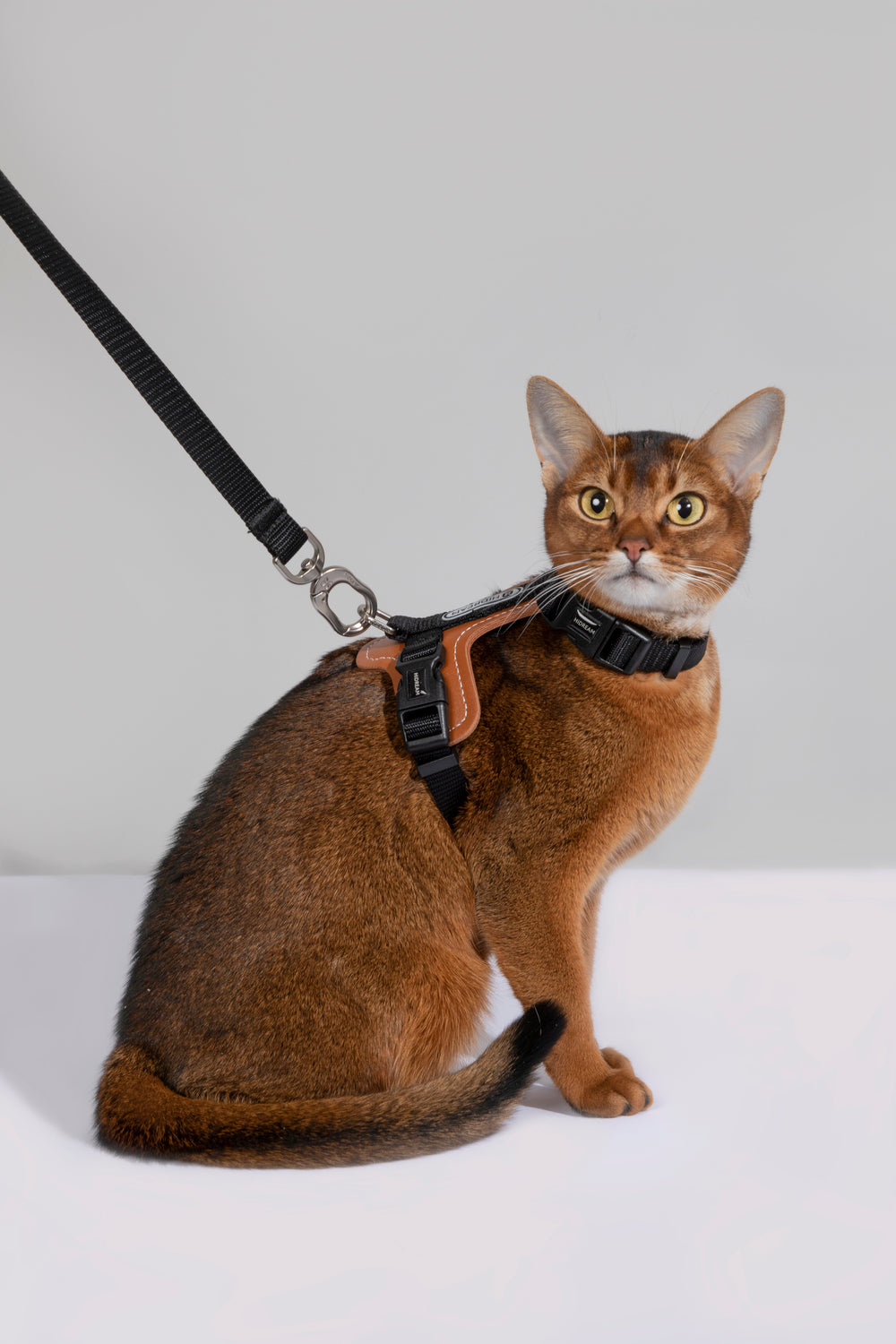 HiDREAM Bobo H-Stil Katzenweste Geschirr & Leinen-Set