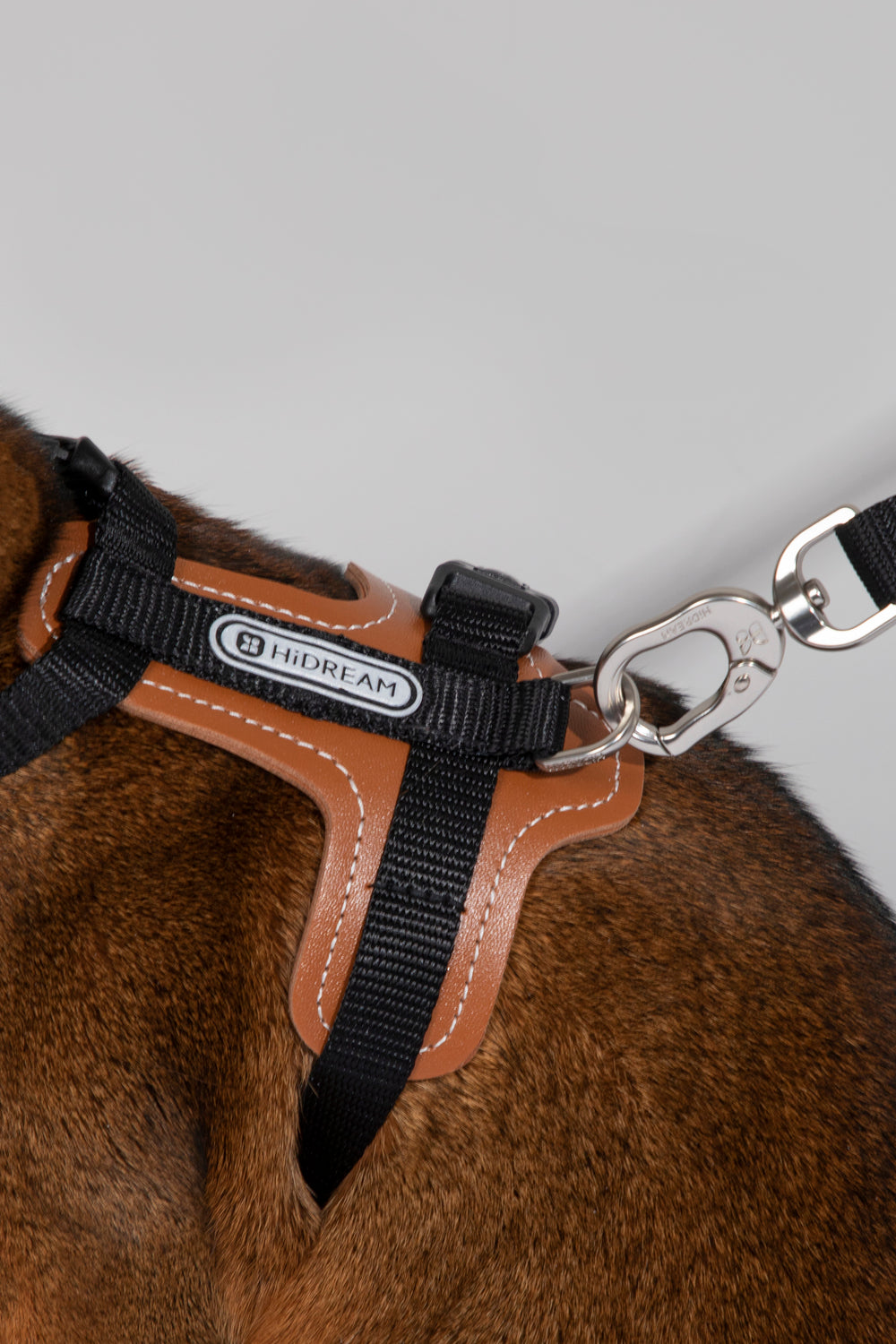 HiDREAM Bobo H-Style Cat Vest Harness & Leash Set