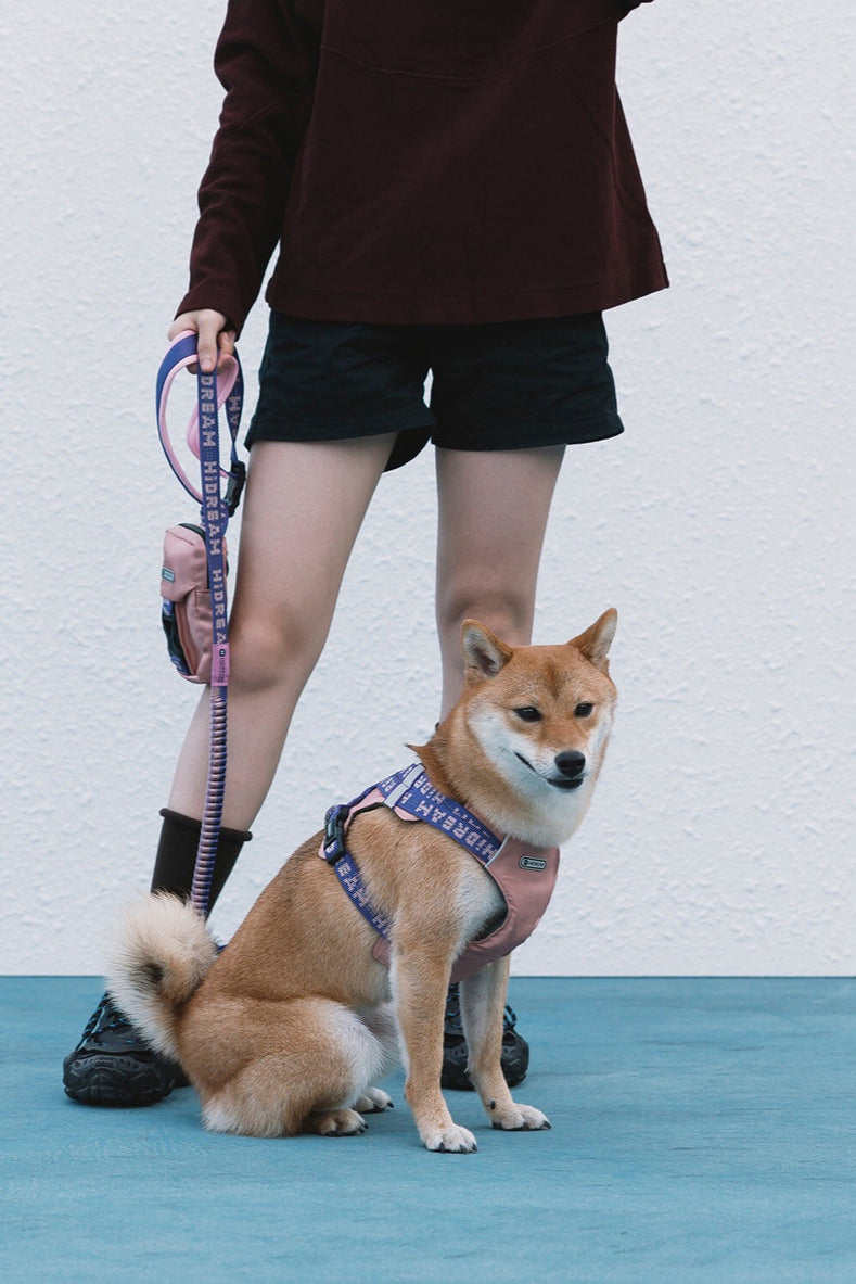 HiDREAM 보보 허그 컴포트 도그 베스트 하네스