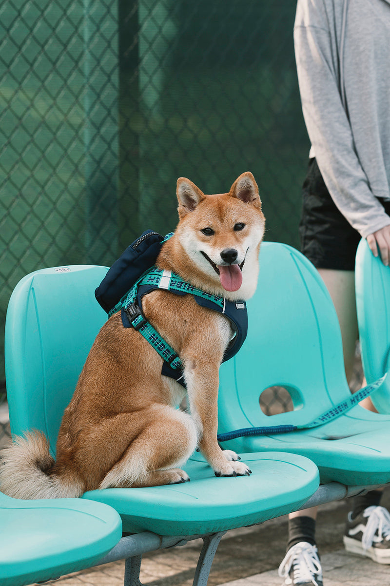 HiDREAM Bobo Hug Comfort Dog Vest Harness