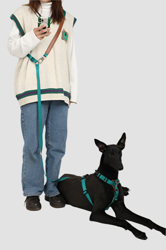 HiDREAM Bobo Multi-Function Crossbody Dog Leash
