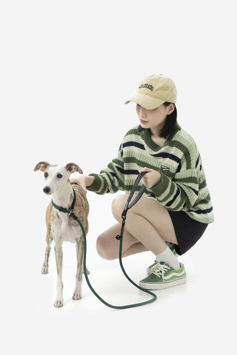 HiDREAM Bobo Leather No-Pull Training Dog Leash