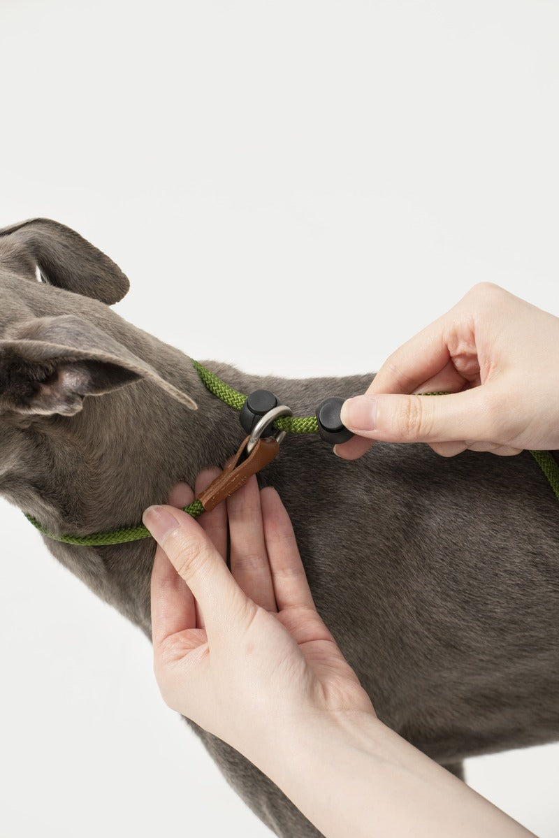 HiDREAM No-Pull Training Dog Leash