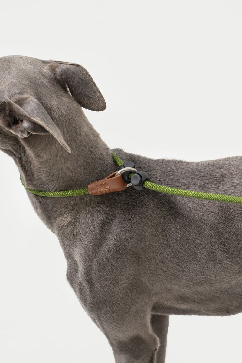 Correa de Entrenamiento para Perros HiDREAM Antitirones