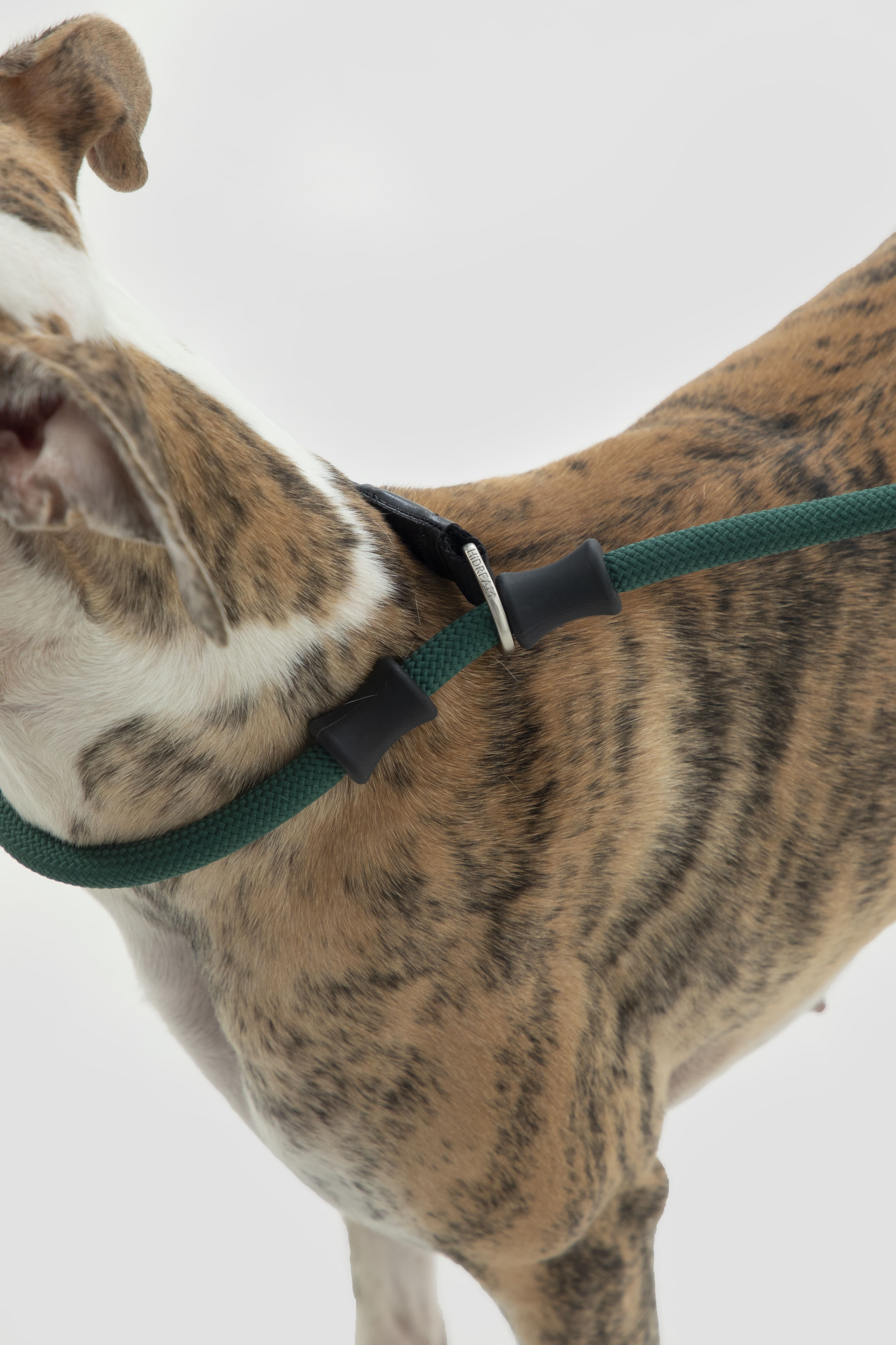 HiDREAM Bobo Leather No-Pull Training Dog Leash
