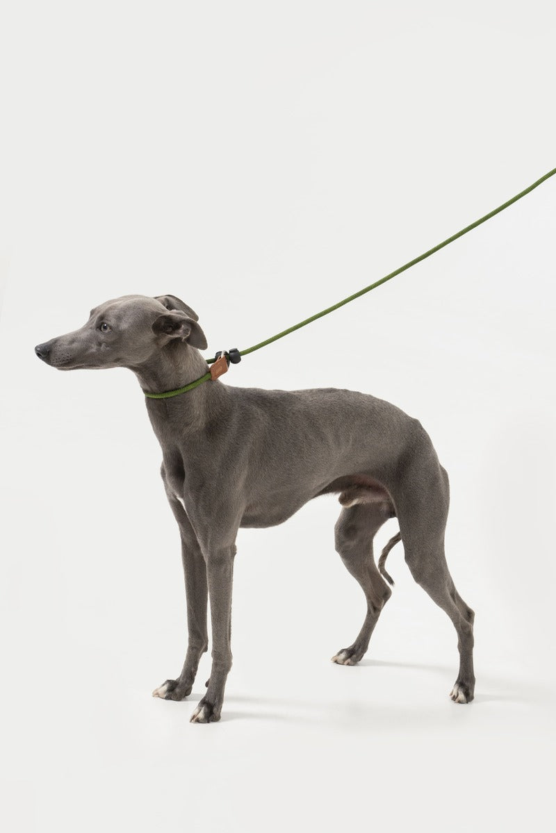 HiDREAM Guinzaglio per Addestramento Cani Senza Tiro