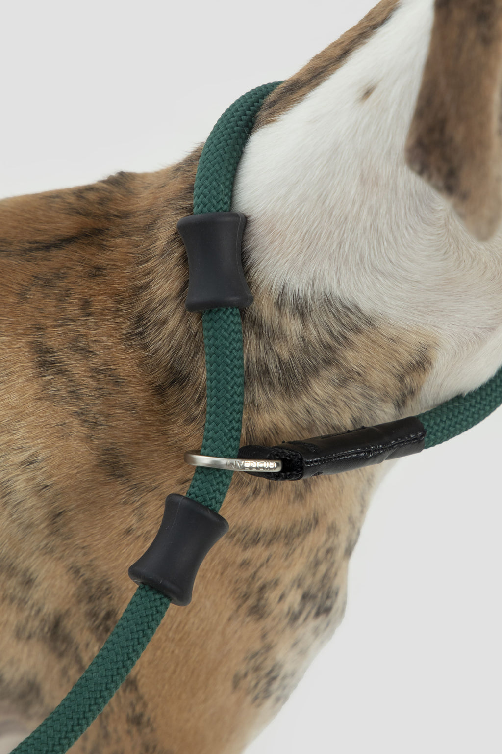 HiDREAM Correa de Entrenamiento para Perros Bobo Antitirones