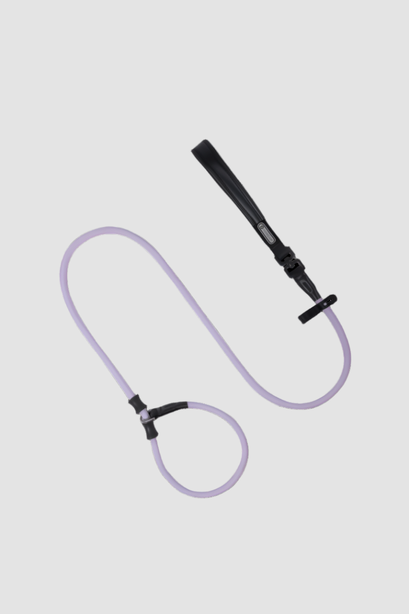 HiDREAM Correa de Entrenamiento para Perros Bobo Antitirones