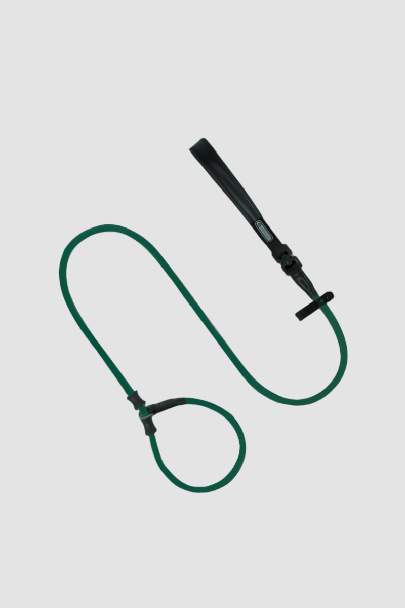 HiDREAM Correa de Entrenamiento para Perros Bobo Antitirones