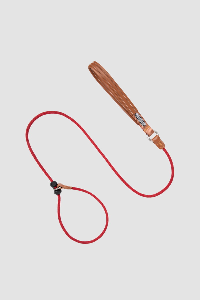 Correa de Entrenamiento para Perros HiDREAM Antitirones