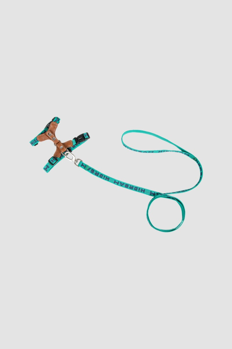 HiDREAM Bobo Reflective H-Type Leather Cat Harness & Leash Set